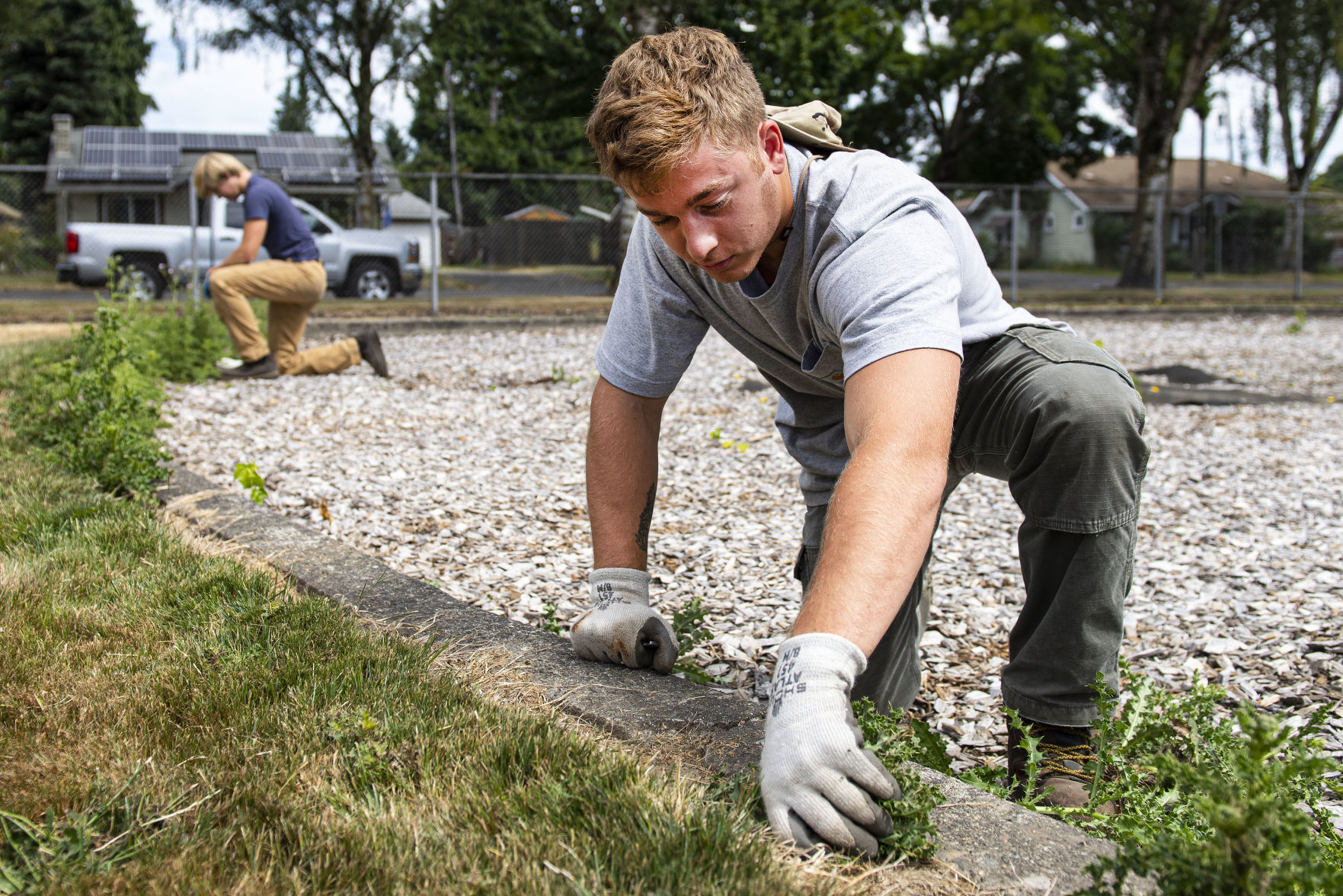 Pulling weeds